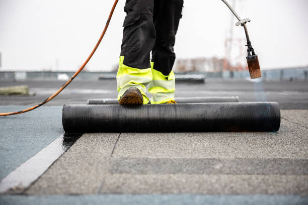 Best Roof Insulation Installation  in Willis, TX